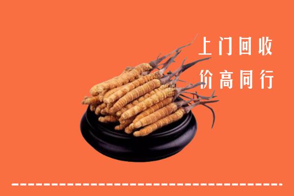 高价求购：上饶婺源回收散虫草