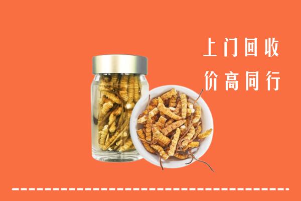上饶婺源回收冬虫夏草